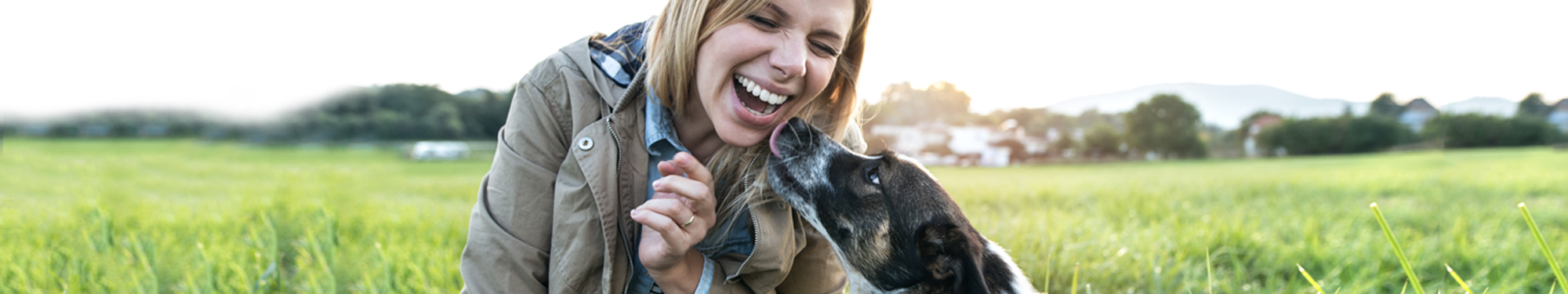 dog licking girls face